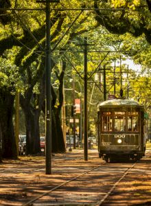 A vintage streetcar travels down a tree-lined avenue with sunlight filtering through the leaves, creating a serene, nostalgic atmosphere.
